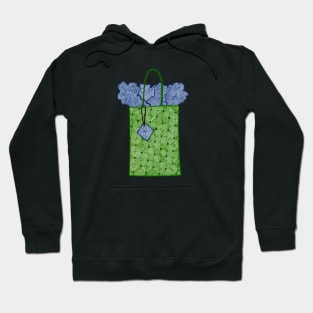 Gift bag (green and blue) Hoodie